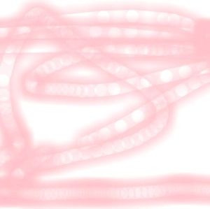 Meet your Posher, Carla